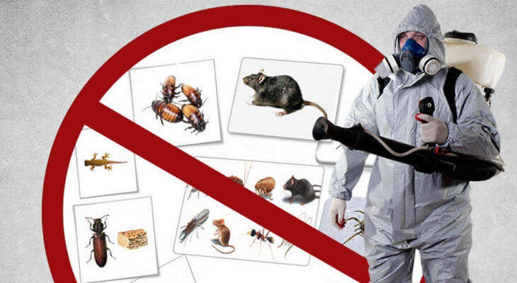 Deratizare | Dezinfectie | Dezinsectie